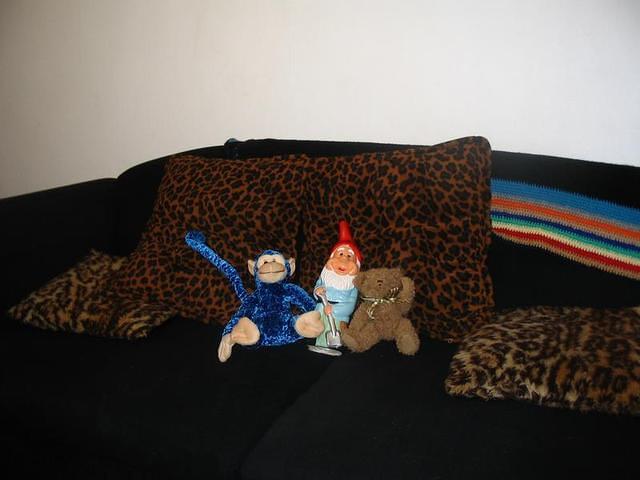 IMG 0249