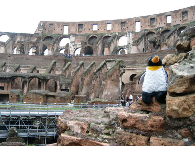 paddles at the colosseum