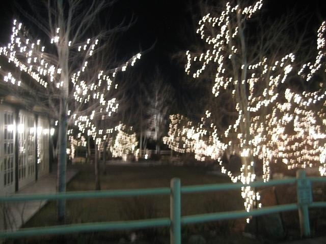 Tree lights, Boulder