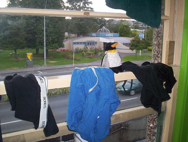 underwear aplenty